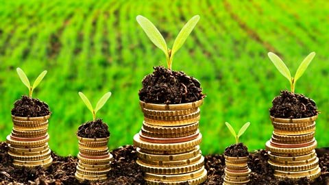 Profitable Contracts