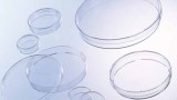 Petri dishes Greiner bio one