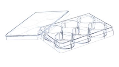 Macroplate 6-well with lid