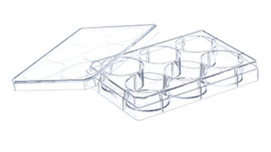 Macroplate 6-well with lid