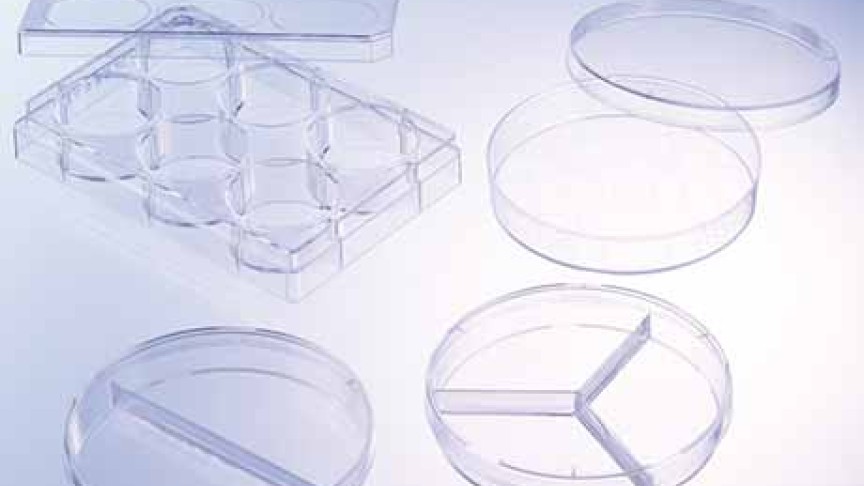 Petri dishes, sectional