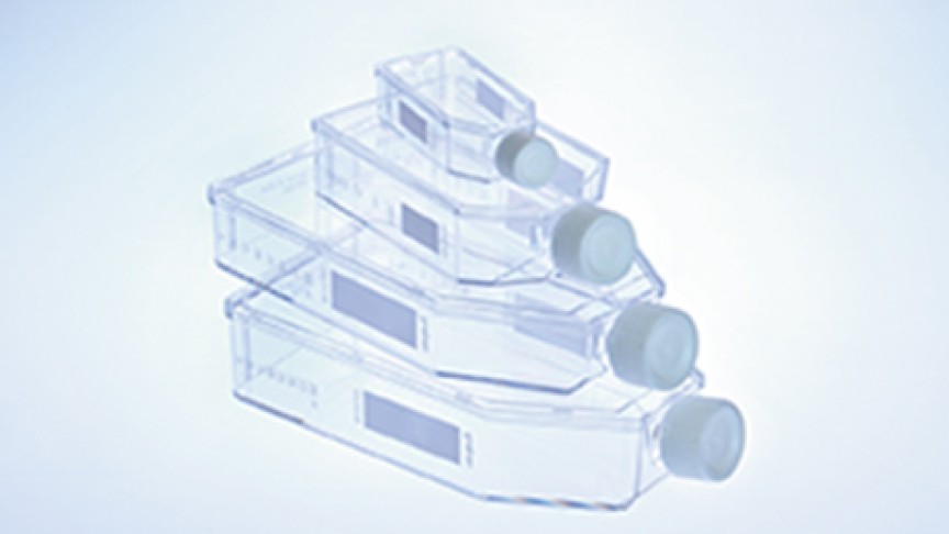 Suspensions Culture Flasks with Filter Cap or without Filter Cap Greiner Bio-One