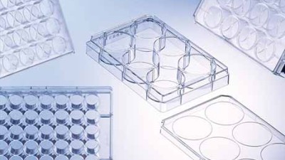 CELLSTAR Cell Culture Multiwell Plates