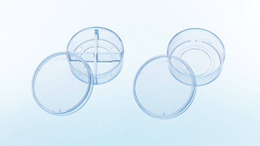 CELLview Dish with Glass Bottom Greiner Bio-One