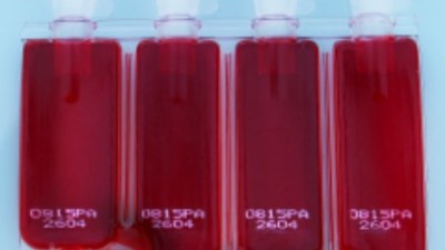 CryoStore Multi-Chamber bag (4 cnamber)