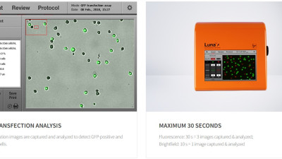 Automated Cell Counter