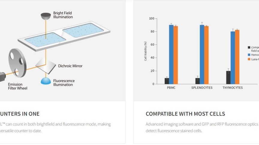 Automated Cell Counter