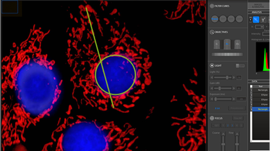CELENA® S Digital Imaging System