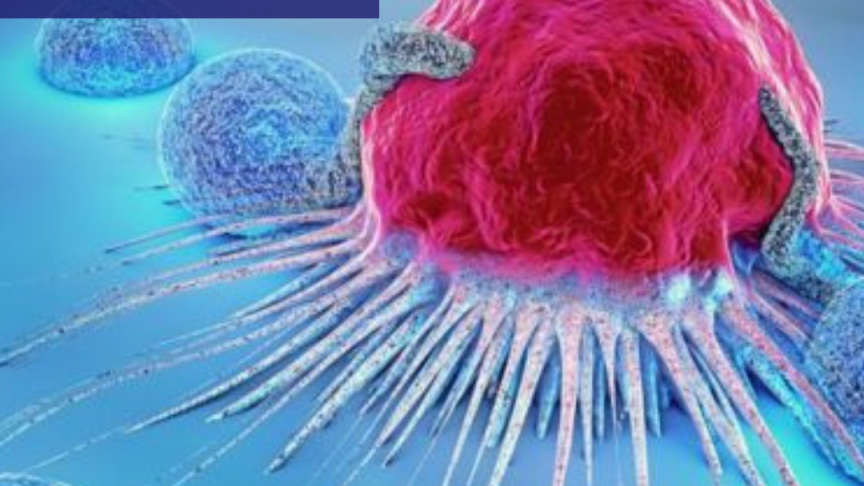 Abcam's products for Oncology Research