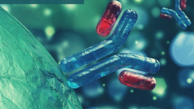 Abcam's assay kits, reagents and antibodies