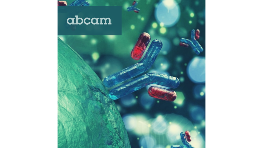 Abcam's assay kits, reagents and antibodies
