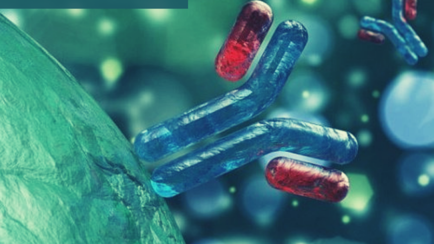 Abcam's assay kits, reagents and antibodies