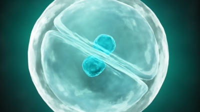 Abcam's products for Cell Biology Research