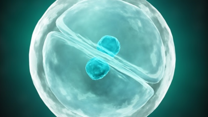 Abcam's products for Cell Biology Research