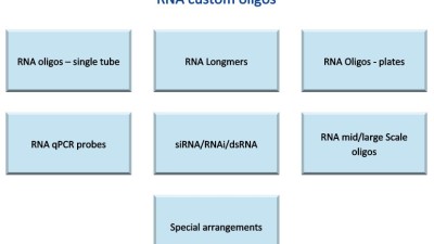 RNA custom oligonucleotides