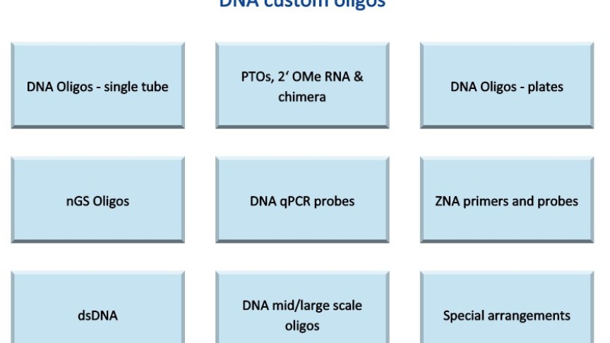 DNA custom oligonucleotides