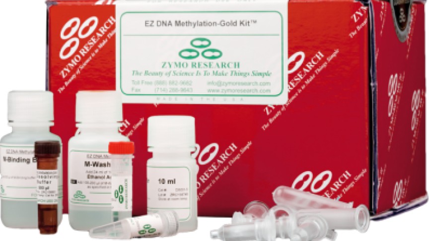 EZ DNA Methylation-Gold Kit