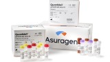 BCR-ABL1 и ABL1 - QuantideX® qPCR BCR-ABL IS transcript analysis kit for monitoring chronic myeloid leukemia, Asuragen, USA.